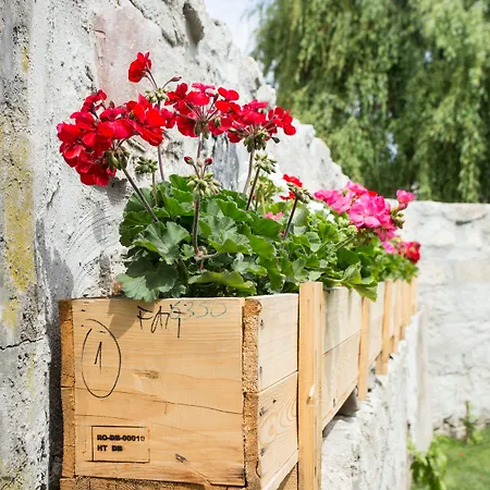 Casa de hóspedes Casa Da Figueiroa 4*