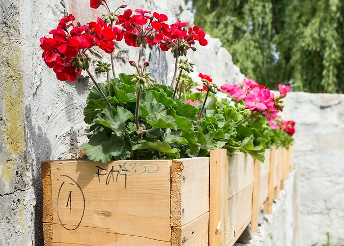 Gasthof Casa Da Figueiroa 4*