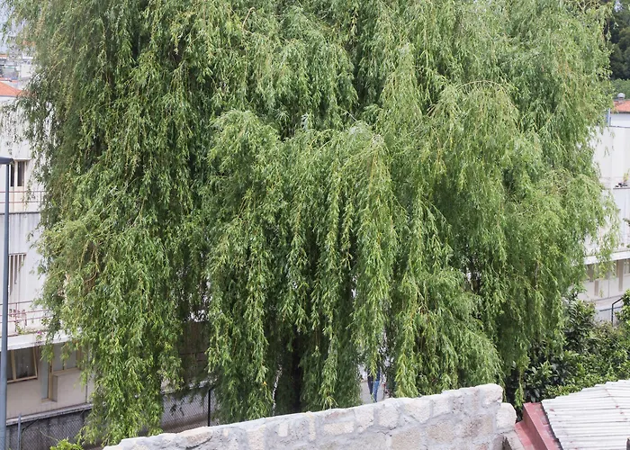 Casa Da Figueiroa Pensionat 4*